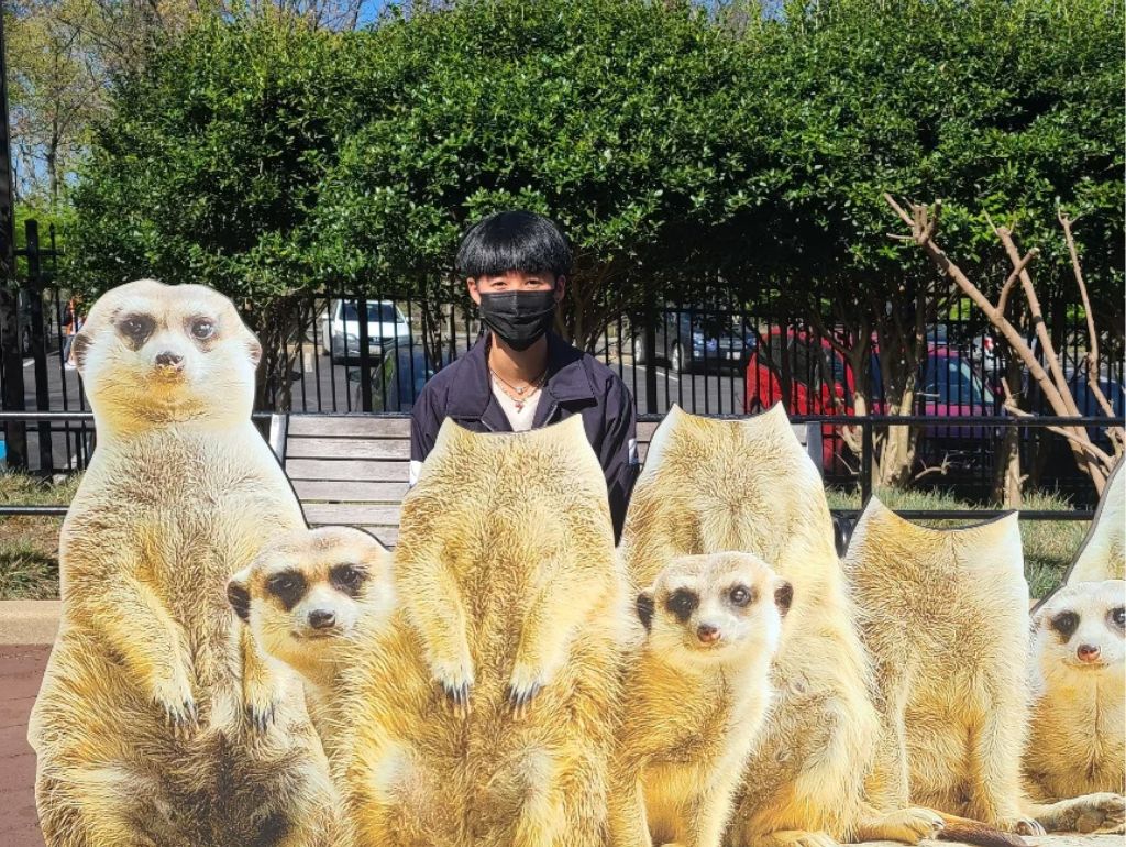 Image of Arlo S. standing behind a cutout of a group of meerkats.