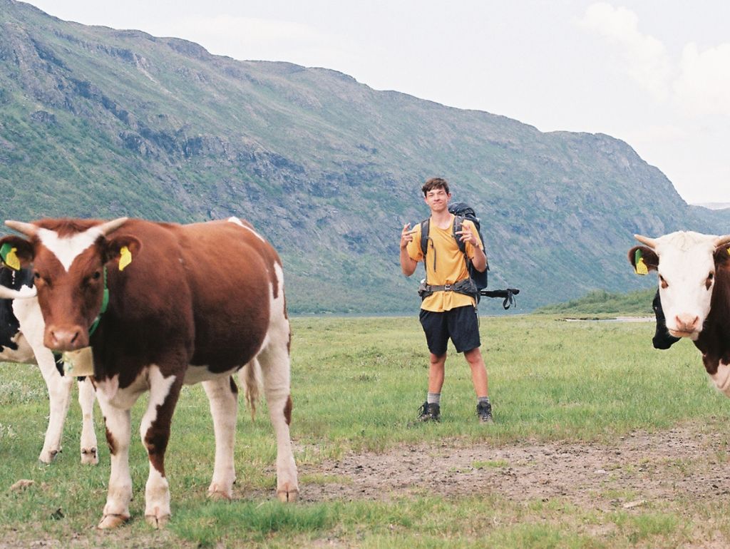 Image of Liam M. posing among cows in front of a mountainous landscape.