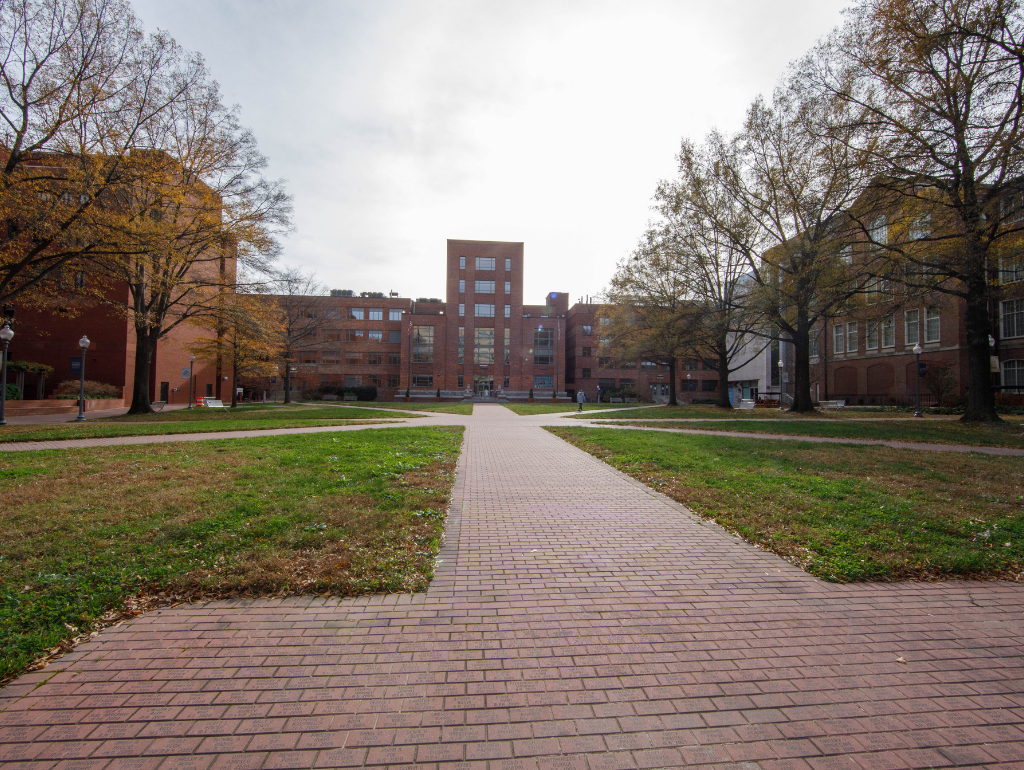 University Yard with brick walkways surrounding by trees and academic buildings