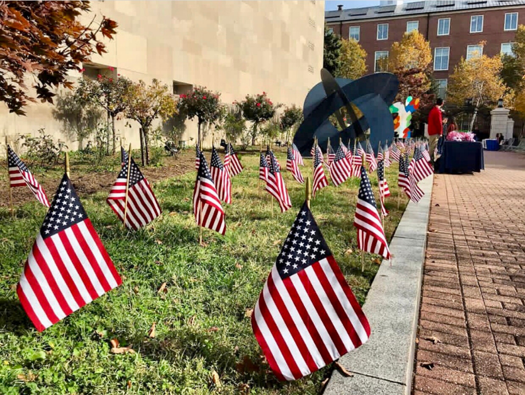 A display of mini American Flags in the grass on tabling row